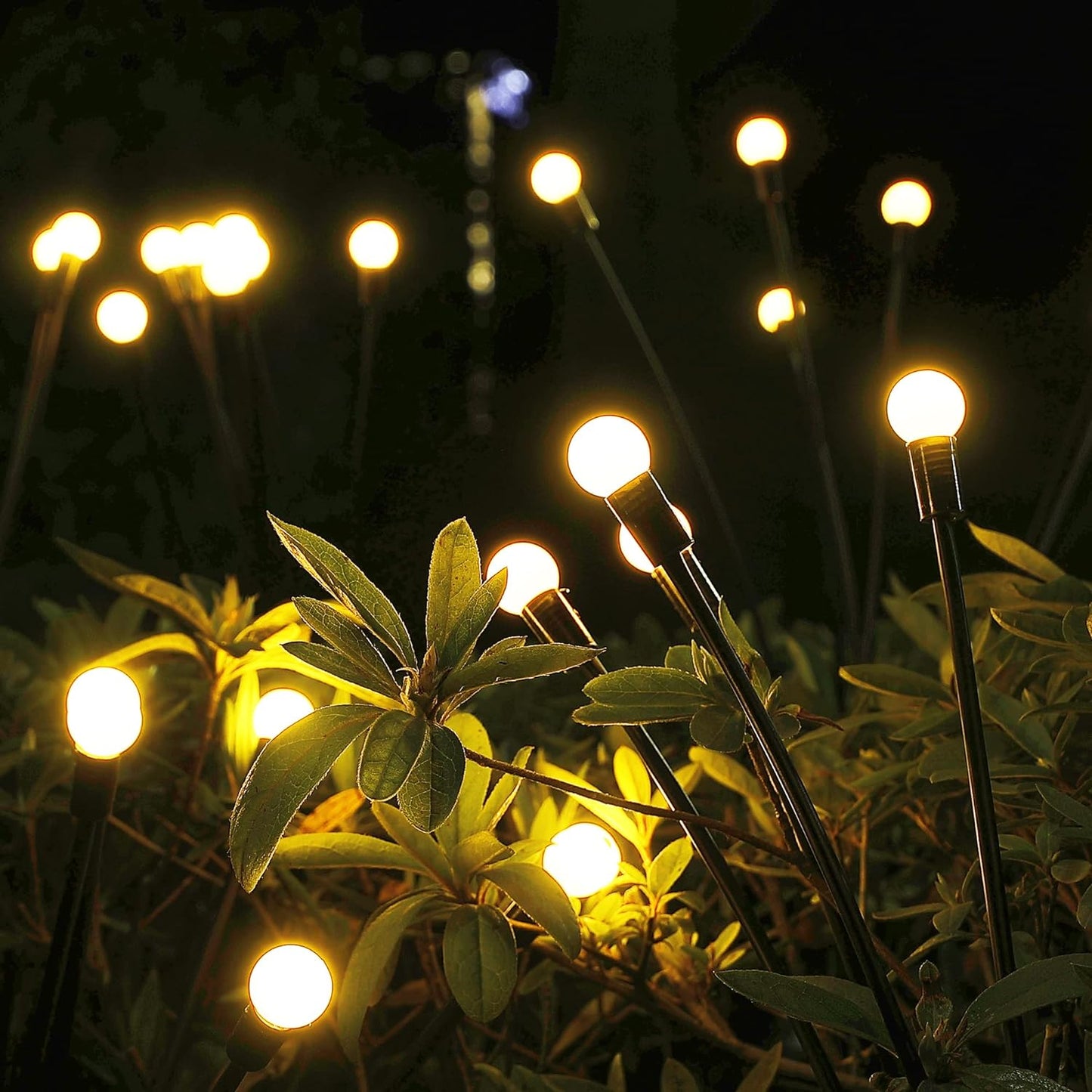 Solar Lights Outdoor Waterproof (Multi Sets)
