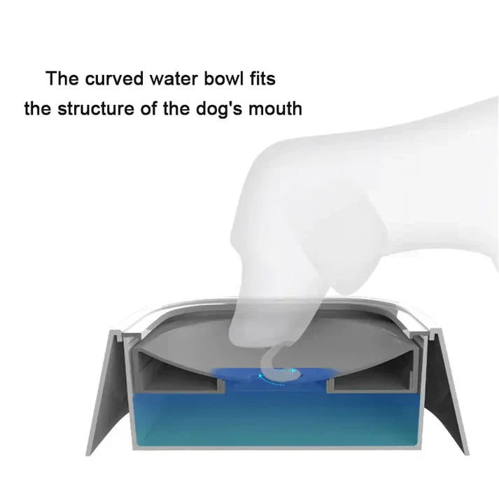 Non Spill, Anti-Overflow Pet Bowl