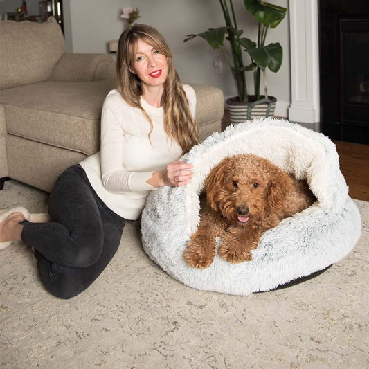 Premium Pet Bed for Dogs & Cats